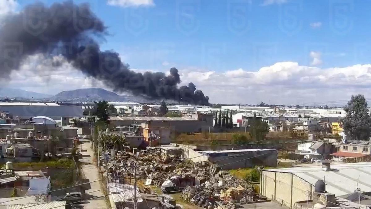 Meksika’da küçük uçak düştü: En az 7 kişi hayatını kaybetti