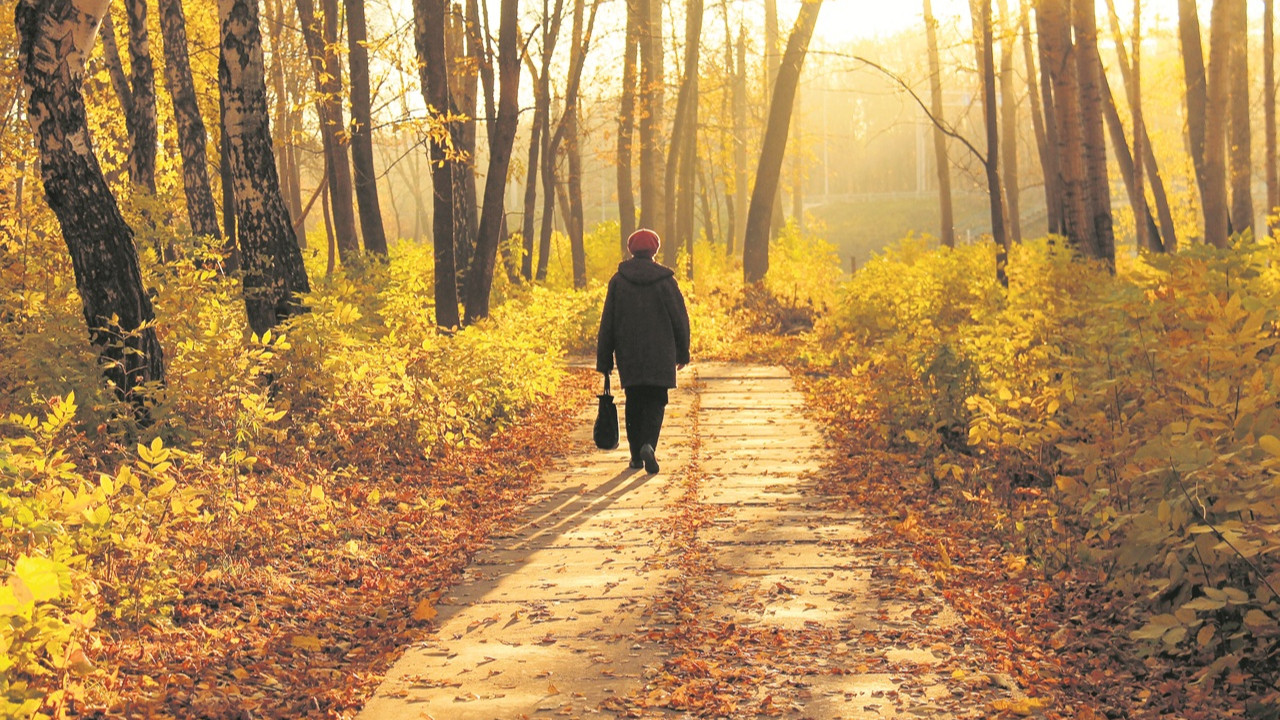 'Harvard'ın En Yeni Bulgusu: Günde 5.001 Adım Atmak Demans Riski Azaltıyor