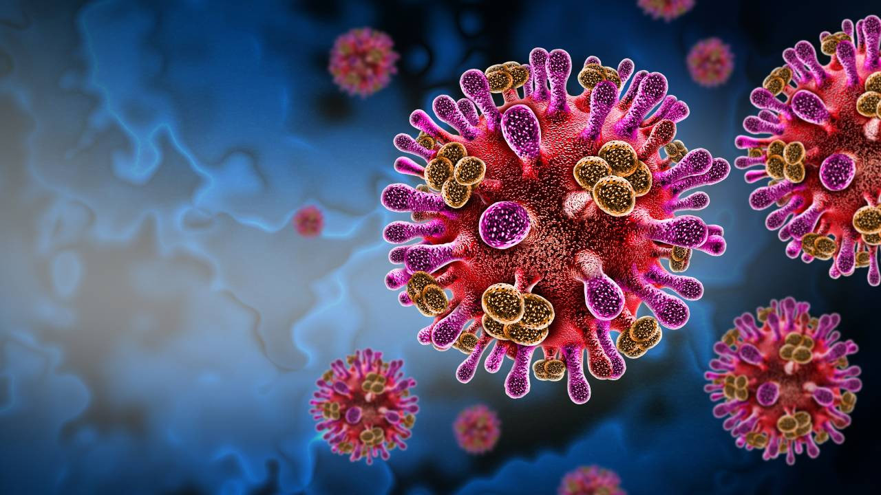 Nipah Virüsü: Hindistan'da Yüzde 75 Ölüm Oranına Sahi