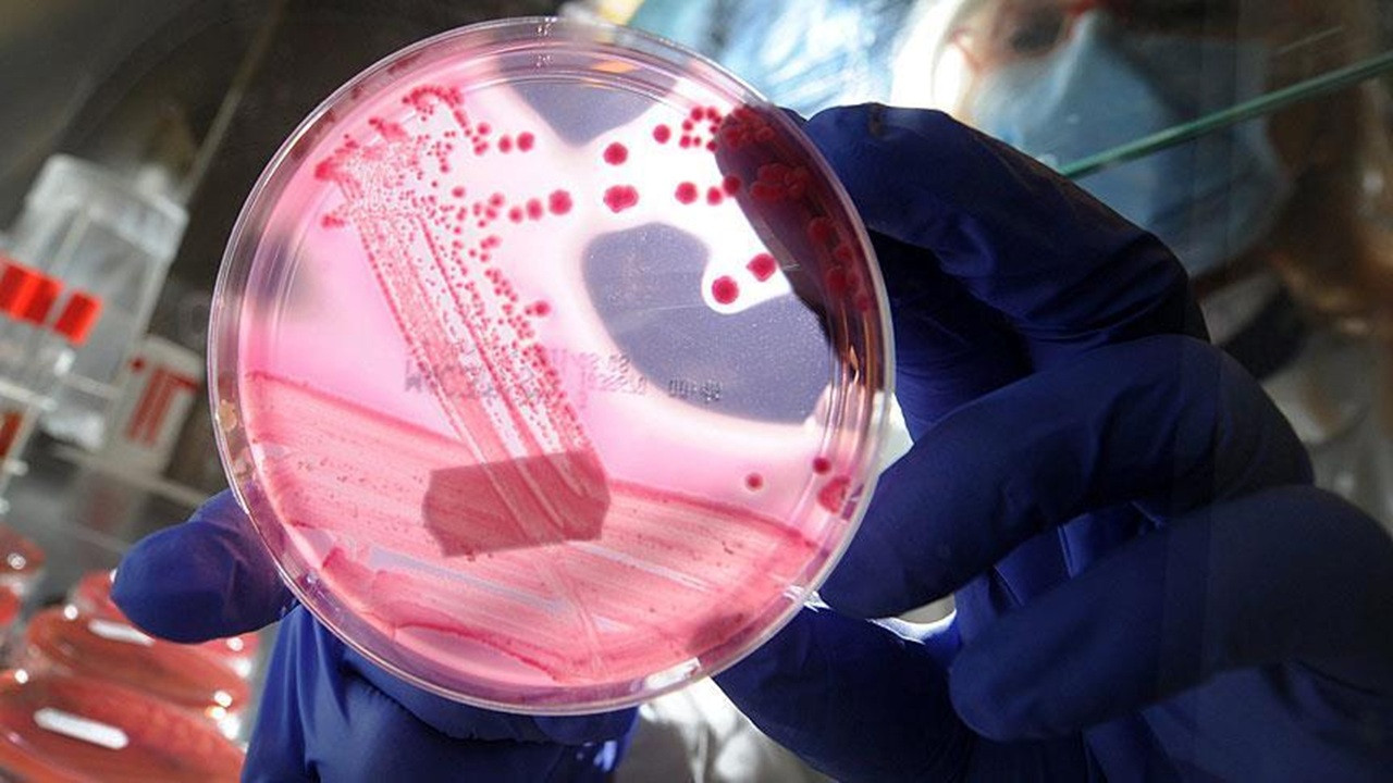 İspanyol Araştırmacıları Pankreas Tümörünü 'Üçlü Kombinasyon Tedavisi'yle Yok Ettikleri - 30 Milyon Euroya Finansman Gerekliliği