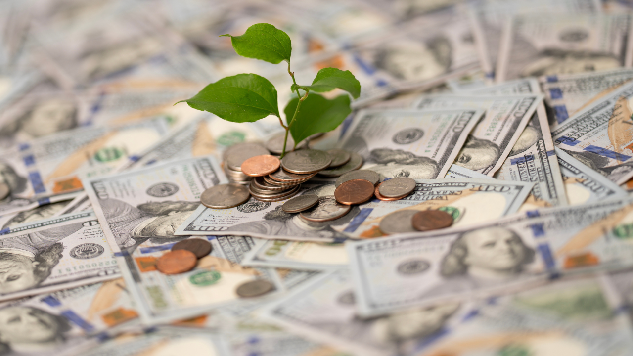 Ekonomik Anksiyetinin Dünyawide Artışı - Gallup Anketi Sonuçları