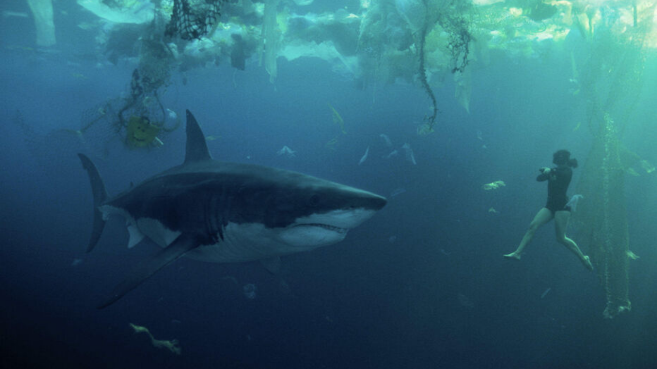 Paris'in Altında Devam Filmi: Alexandre Aja ile Netflix Anlaşma