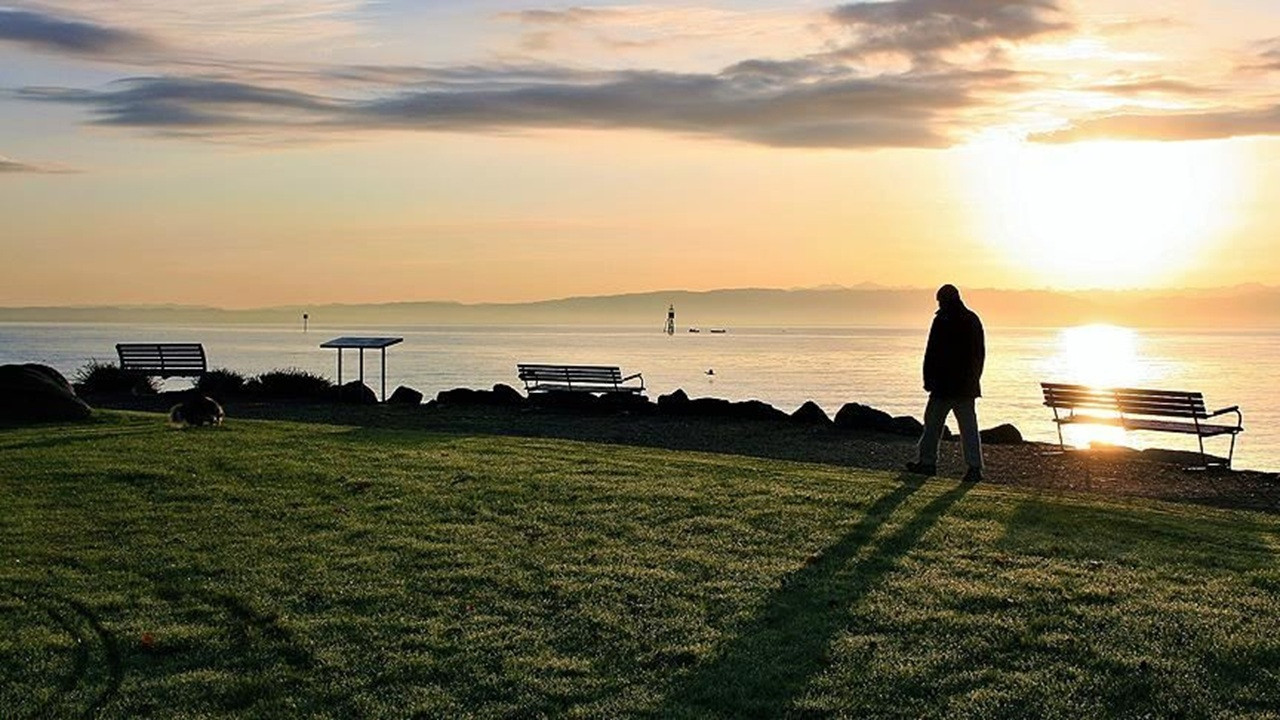 %66.5 Artış: Türkiye'de Yalnız Yaşayanların Sayısı 10 Yıl Sonrası