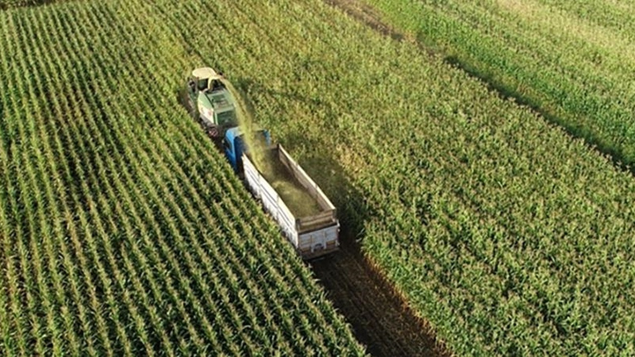 Organize Tarım Bölgeleri'nde bitkisel üretim 3 yılda 6 katına çıktı