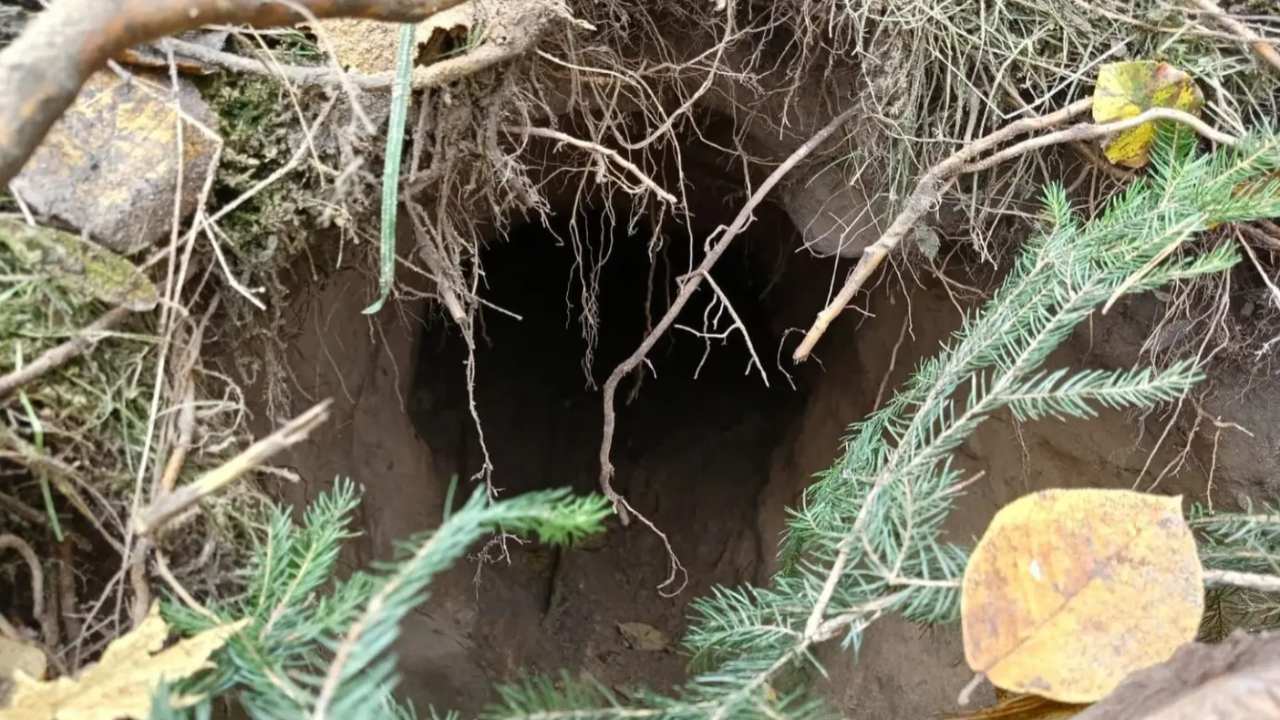 'Erdoğan'dan KAAN mesajı' haberiyle ilgili, Rusya'nın Belaru