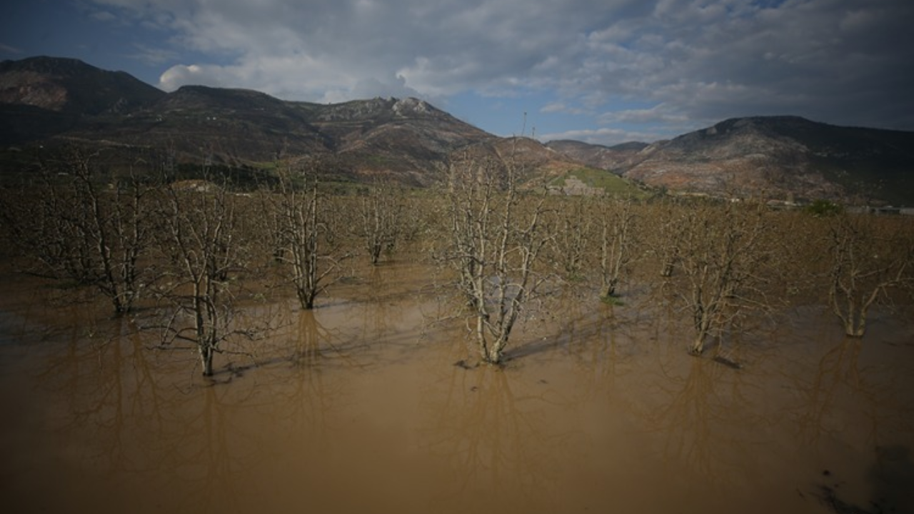 Geçen yıl olağanüstü kuraklık, bu yıl sağanak yağış: Bursa'daki Gürsü Ovası sular altında kaldı