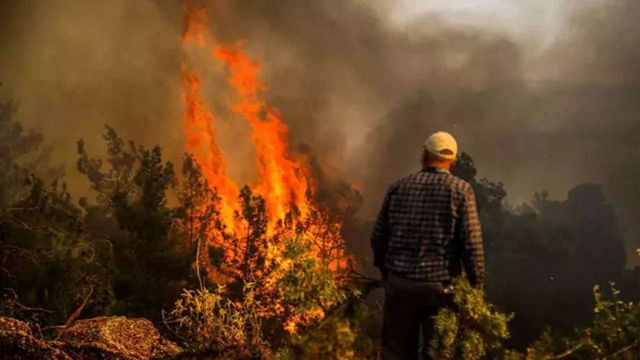 Türkiye’nin 2025 orman yangını bilançosu: 

 Her 10 yangından 6’sı insan kaynaklı
 İlk neden ihmal 
 En büyük alan kaybı Bursa’da