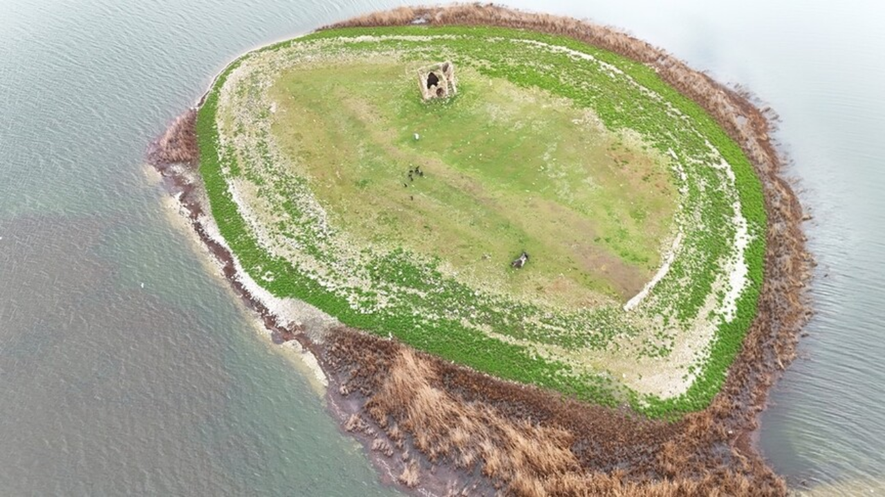 Kuraklıktan etkilenen Mada Adası nefes aldı, yağışlar su seviyesini yükseltti
