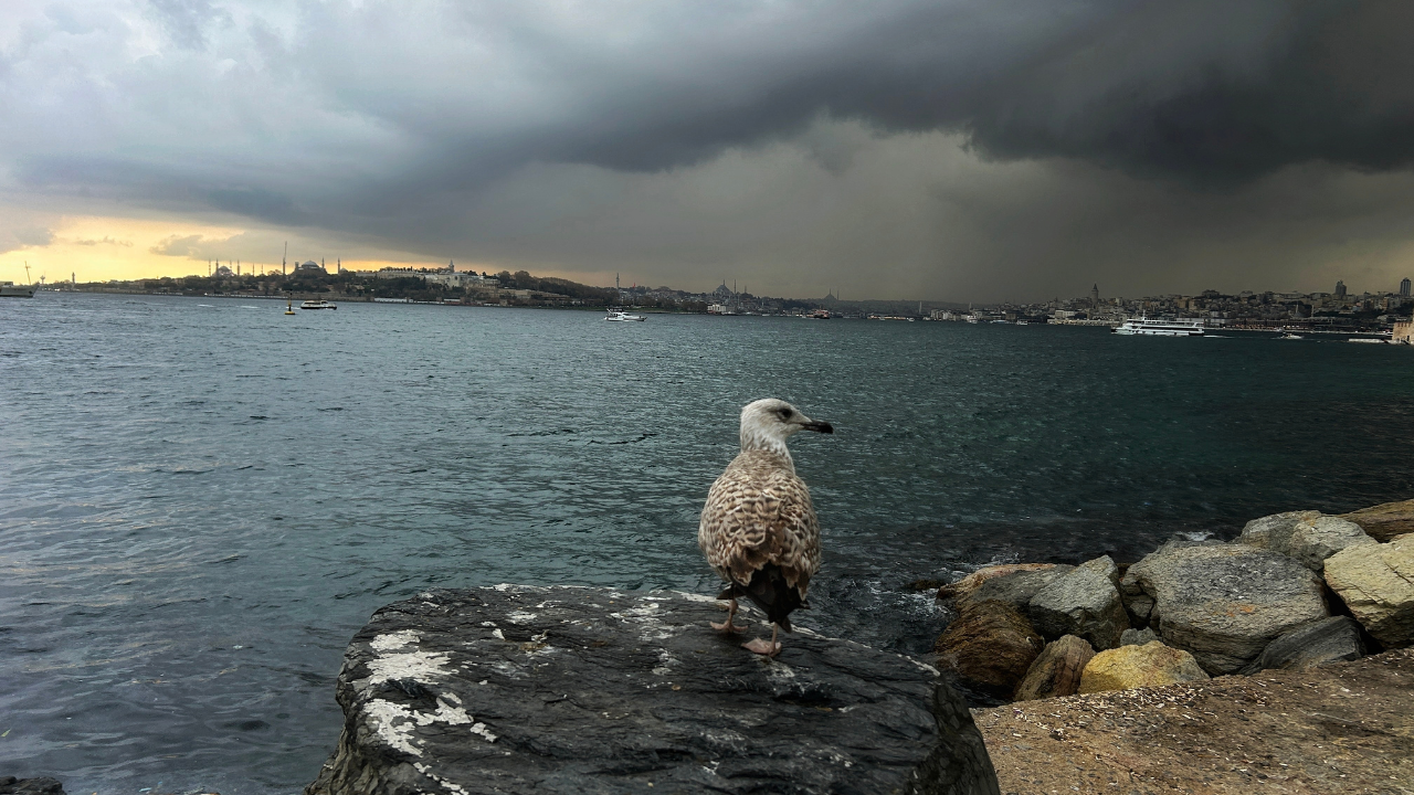 Meteoroloji'den kuvvetli yağış uyarısı