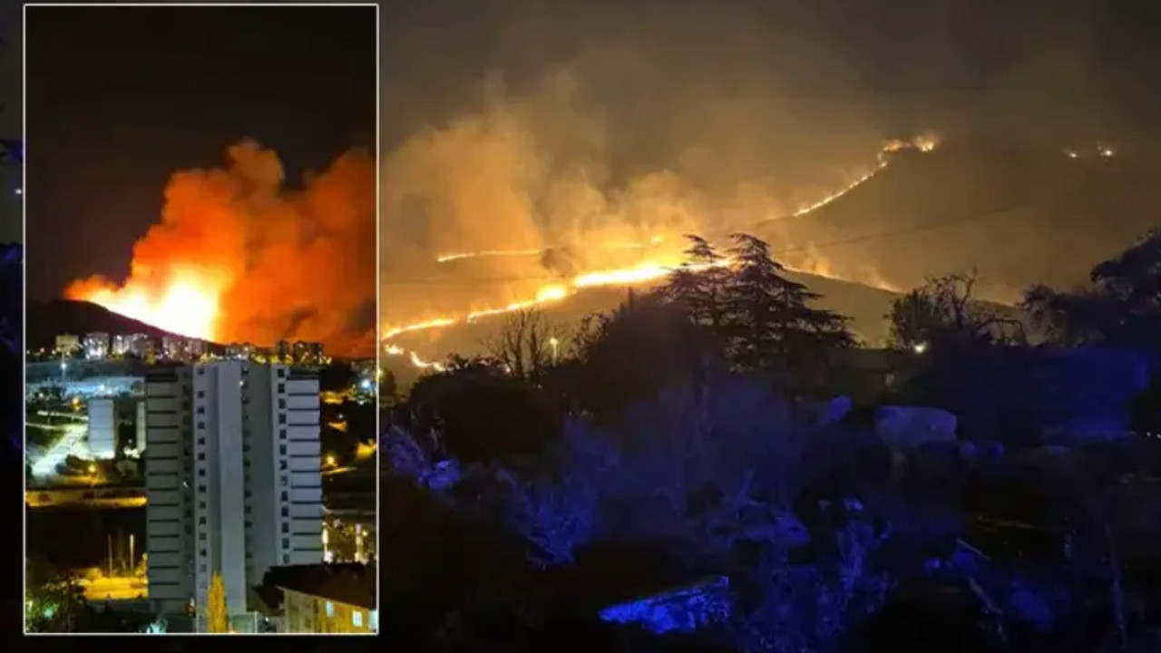 Ankara Mamak'ta ağaçlık alanda yangın