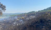 Ayvacık'taki orman yangını 2'nci gününde