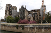 Notre Dame Katedrali’nin restorasyonunda 700 yıllık lahit bulundu