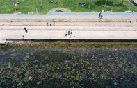 İstanbul'da denizde görülen kirlilikte müsilaj bulgusuna rastlanmadı