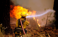 ABD’nin New Mexico eyaletindeki yangın 303 kilometrekare alana yayıldı