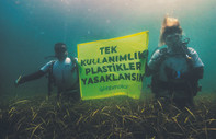 Greenpeace’ten  4 önemli uyarı