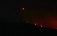 Datça'da orman yangını: 5 ev boşaltıldı