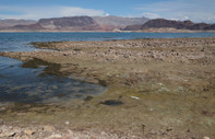 ABD'de Mead Gölü'ndeki su seviyesi endişe veriyor
