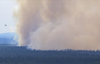 Almanya’da Harz Dağları'nda çıkan orman yangını nedeniyle acil durum ilan edildi