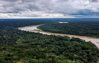 Amazonlar'da şubat ayında ormansızlaştırma rekoru kırıldı