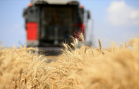 FAO: Küresel gıda fiyatları 2 yılın en düşük seviyesine indi