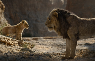 Disney duyurdu: Aslan Kral Evreni geliyor