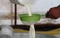 Çiğ süt tavsiye fiyatı belirlendi: Üreticinin eline 11,5 lira geçecek