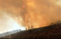 Milas-Bodrum Havalimanı yolunda ormanlık alanda çıkan yangın etkisini sürdürüyor