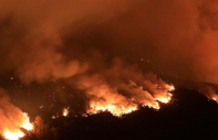 Kanada tarihinin en büyük orman yangınlarını yaşıyor: Kül olan alan 10 milyon hektar aştı