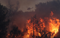 Yunanistan'ın Korfu Adası'nda orman yangını çıktı