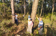 Akbelen Ormanı'nda ağaç nöbeti: Kesim alanına giren İkizköylüleri jandarma çıkardı
