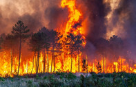DSÖ: Kuzey yarım küredeki orman yangınları 40 kişinin ölümüne neden oldu