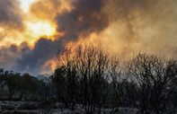 İzmir Kınık'taki orman yangını kontrol altına alındı