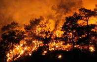İklim değişikliği Türkiye'nin kuzey bölgelerinde orman yangını riskini artırıyor