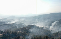 Yüksek sıcaklıklar devam ediyor: Yangınla mücadele eden Çanakkale'de rüzgar etkili olacak