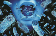 Bir sonraki salgının nedeni ‘süper bakteriler’ olacak