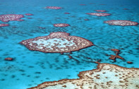 Avustralya'daki mercan adaları yok olma tehlikesi altında: Ülkenin deniz sınırı değişebilir