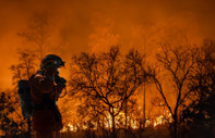 Avustralya'yı sıcak hava dalgası vurdu, orman yangını riski kritik eşiği açtı