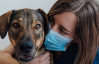 Pandemide sahiplenilen köpeklerde olumsuz davranışlar gözlemleniyor