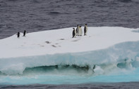 Araştırma: Artan okyanus sıcaklıkları, buzul erimesini geri dönülemeyecek noktaya getirebilir