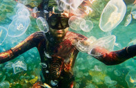 Marmara’da denizanası istilası var