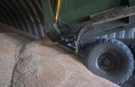 Polonyalı çiftçiler 160 ton buğdayı yere döktü, Ukrayna tepki gösterdi