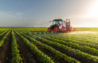Polonya: Rusya ve Belarus'tan AB'ye gelen tarım ürünlerine yaptırım uygulansın