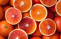 Coğrafi işaret alan kan portakalının kaderi değişti