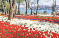 Çiçeklerin izinde İstanbul
