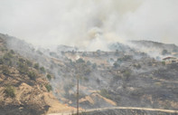 Manisa Alaşehir'de orman yangını