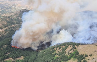 Denizli'de orman yangınları: Bir mahalle tedbir amaçlı boşaltıldı