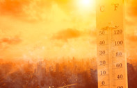 Aşırı sıcaklar dünyayı kavuruyor: Ölümler hızla artıyor