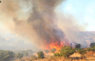 Çanakkale'de çöplük alandan ormana sıçrayan yangın nedeniyle bir mahalle tahliye edildi