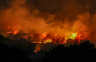 Uşak Ulubey'de orman yangını
