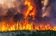 Yangın kurbanı orman alanı geçen yılın 34 katı